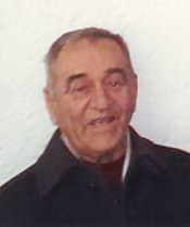 Фирдус Џинић (1931-2008)